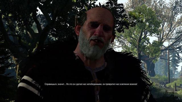 The Witcher 3 Духи Леса (первый вариант прохождения) смотреть онлайн