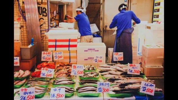 Interesting Facts About Japan with Chapters and 25+ Subtitles