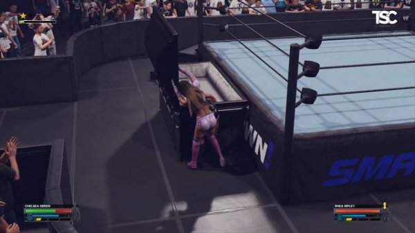 WWE 2K24 Forty Years of WrestleMania Edition Review