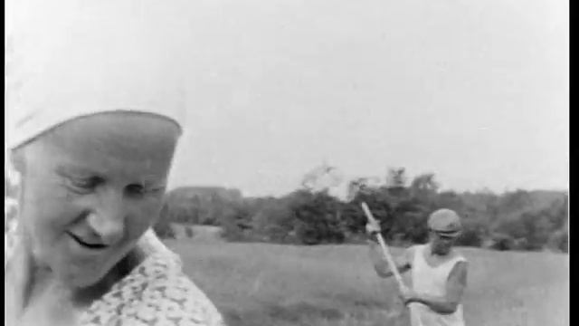 Заготовка кормов в совхозе "Коммунист" в Череповецком районе, 1966 год смотреть онлайн