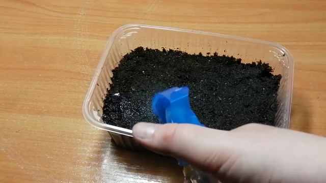 Посев семян газании на рассаду. Часть 1 смотреть онлайн