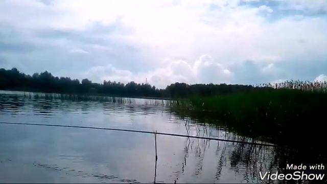 Клёв карася на мотыля,манку с ванилином. смотреть онлайн