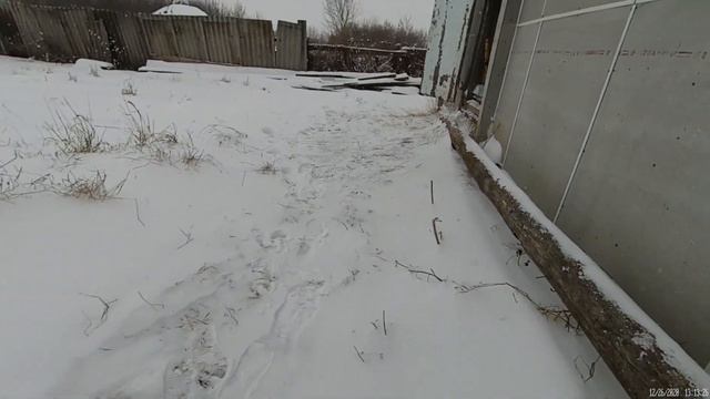 Ночью была метель. Кормлю Обруч и показываю погоду. Русская деревня. [Наша жизнь в деревне] смотреть онлайн