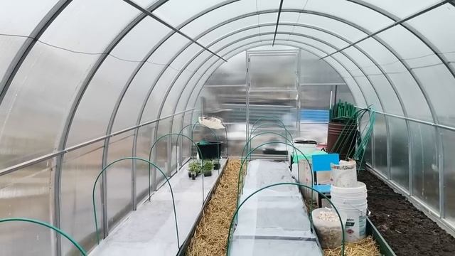 Снег смыло Готовимся перевозить рассаду Убираю мульчу с посадок Первые подкормки луковичных, чеснок смотреть онлайн