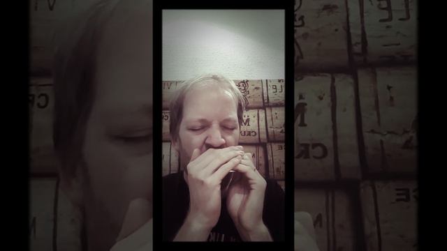 Seneca Square Dance (aka Waiting for the Federals) - Harmonica (+Tabs) смотреть онлайн