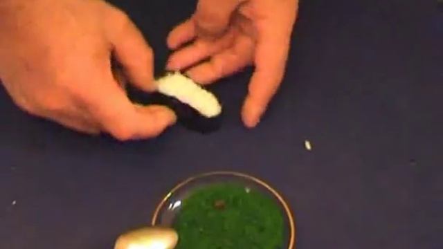 Готовим вместе. Суши с икрой. Видео урок. смотреть онлайн