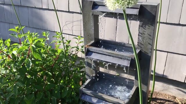 ?Allium Garden Tour ~ Allium Care ~ Y Garden ? смотреть онлайн