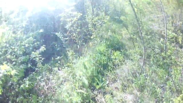 ЧТО МОЖНО НАЙТИ В ЛЕСУ??? Коп на Качкане.. Поиск воды и ночлега... Серия #2 смотреть онлайн