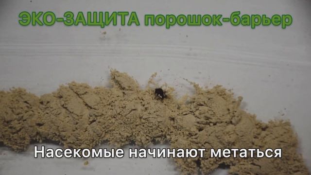 Порошок-барьер «Экозащита» против клопов, как он действует? смотреть онлайн