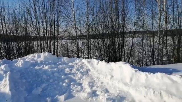 Восточно европейская овчарка Вольф(Бриз)! 3 месяца! Первая прогулка за территорию! смотреть онлайн