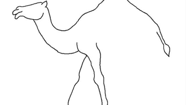 How to Draw a Camel Easy Step by Step смотреть онлайн