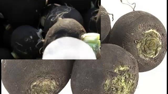 Чёрная редька лечит печень смотреть онлайн