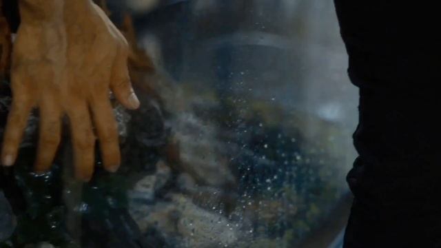 [LIVE SCAPE] AQUASCAPE MALAYA 360VIEW 150X60X75CM PLANTED AQUARIUM By HALIM MANAP FROM MALAYSIA