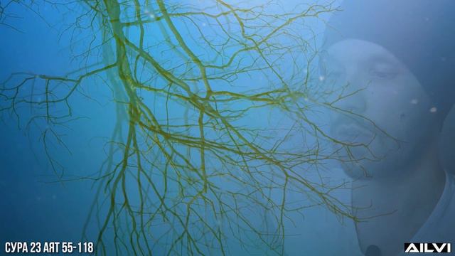 Коран. Сура 23. Аят 55-118 💎 Мусульманские цитаты со смыслом смотреть онлайн