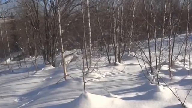 Трофейный тетерев. смотреть онлайн