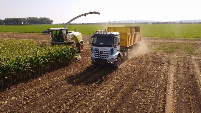 Mercedes-Benz Arocs 2051 AK 4x4 AGRO MOVER |Siláže Kukuřice 2023 | Claas Jaguar 960 смотреть онлайн