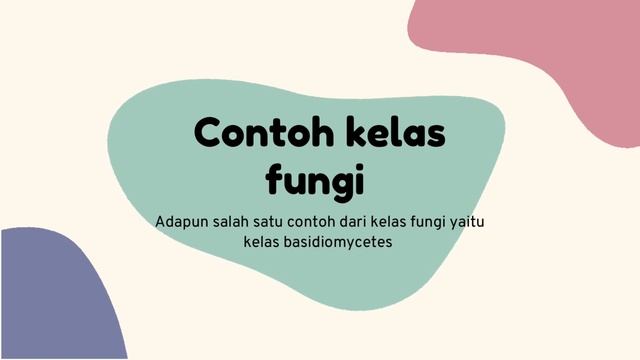 Pengenalan mikologi dan fungi kelas basidiomycota смотреть онлайн