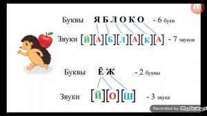 Обозначение гласных звуков буквами Е, Ё, Ю, Я   ( Русский язык 2 класс )