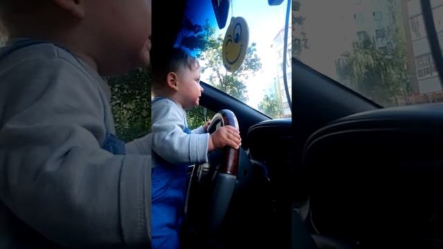 Малыш в свои восемь месяцев едет за рулем авто смотреть онлайн