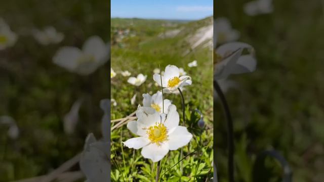 Шикарная природа Воронежской области смотреть онлайн