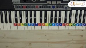 Как играть С днем рождения тебя на пианино. Ноты цифрами