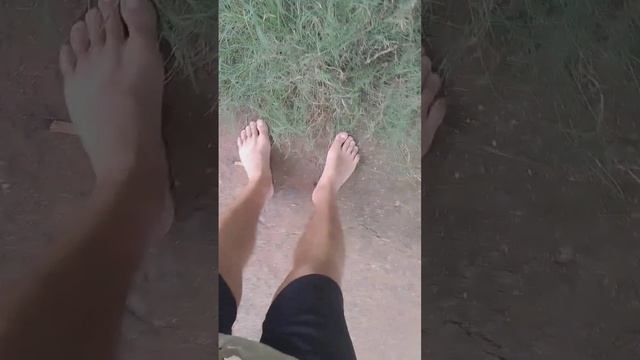 Maratkatravel: это 1 минута - вторая часть Шри Ланка, опасные животные и ситуации #shorts