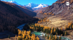 Наша Сибирь 4К: Менский каскад