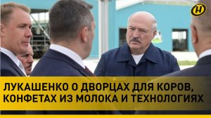 Лукашенко: Ты мне философию не рассказывай! Я не пацан – понимаю!/ Что разозлило Президента на ферме