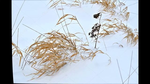 Загадка детская про зайца смотреть онлайн