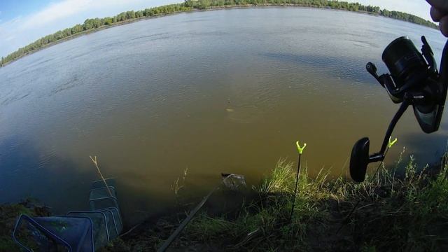 Фидер на сильном течении. Ловля язя и леща на фидер. Рыбалка 2022. смотреть онлайн