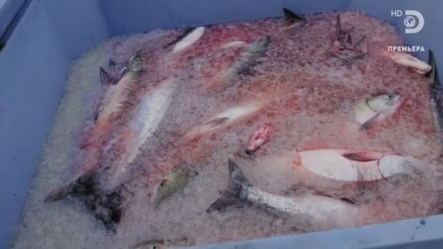 Джереми Уэйд тёмные воды 1 серия