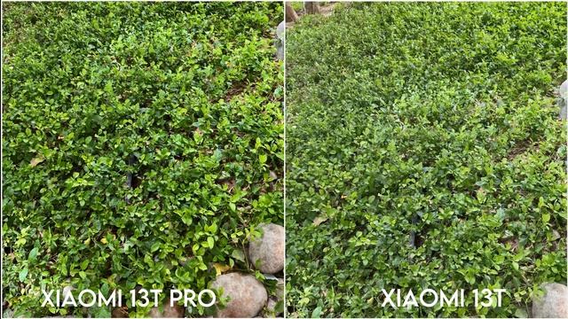 Xiaomi 13T Pro Vs Xiaomi 13T Camera Comparison