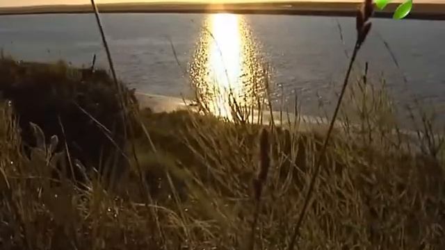 Чемоданное настроение 25 11 2017 смотреть онлайн