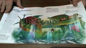 Насекомые и их знакомые 11 Азиатский Клоп