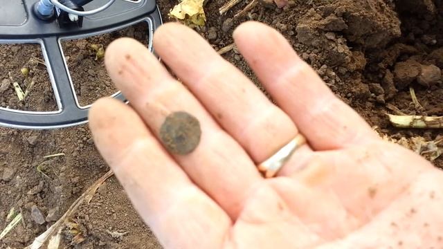 Tesoro Tejon finds Roman смотреть онлайн