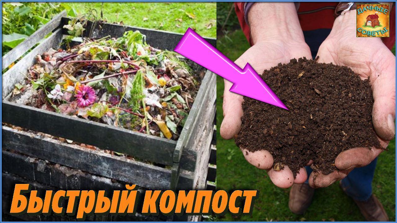 Многие и не догадываются как быстро приготовить качественный Компост по всем правилам на даче смотреть онлайн