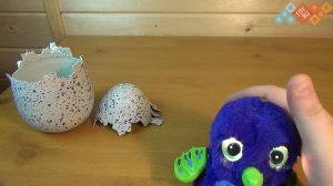 Hatchimals - Хетчималс Пингвинчик - интерактивный питомец, вылупляющийся из яйца - Полный обзор
