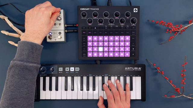 Walrus Audio MAKO D1 Delay Sound Demo (no talking) with Novation Circuit Tracks смотреть онлайн