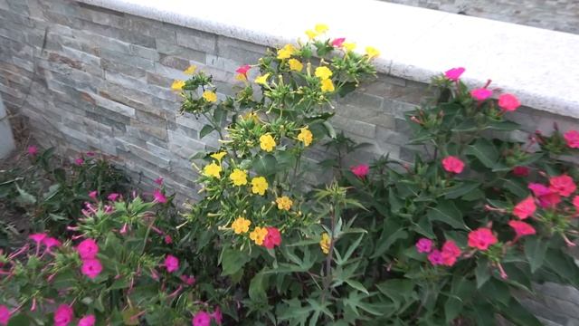 #АНАПА Новая Набережная и Ореховая роща ? LIVE 222 смотреть онлайн