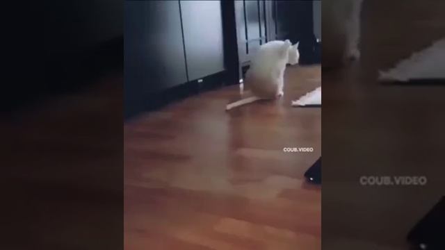 вытер. mp4 смотреть онлайн