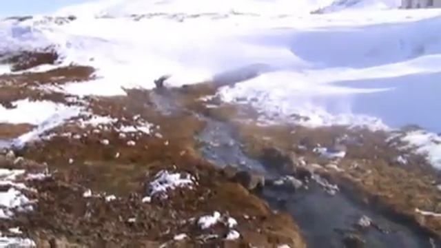 Снегоход IRBIS TUNGUS T600..поездка на горячие источники смотреть онлайн