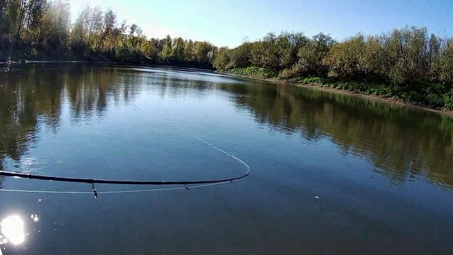 2022_Сосва 27.09-1.10.220 г..mp4