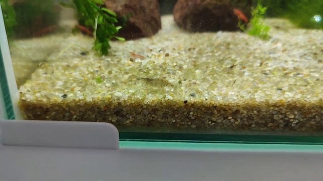 VLOG • МОТИВАЦИЯ НА УБОРКУ в спальне • Будни мамы • Чем мою окна • Пасха ? смотреть онлайн