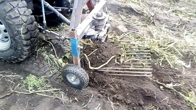 VID_20190804_151657 смотреть онлайн