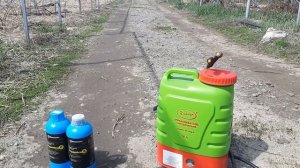 Первая обработка ежевики и малины весной. Закладываем корень в кассеты для саженцев на осень