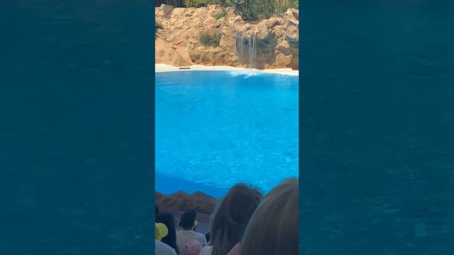 Обзор на поход в Loro Parquj .В Испании.Была слишком экстремальная дорога. смотреть онлайн