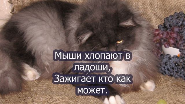 Песня - Кошка Тиша и мыши смотреть онлайн