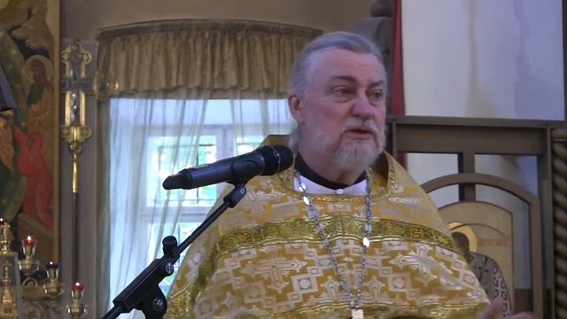 Проповедь на Литургии 19 06 2022 свящ. Петр Коломейцев смотреть онлайн