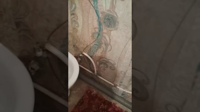 Продаю дом. Обзор хозяйства. смотреть онлайн