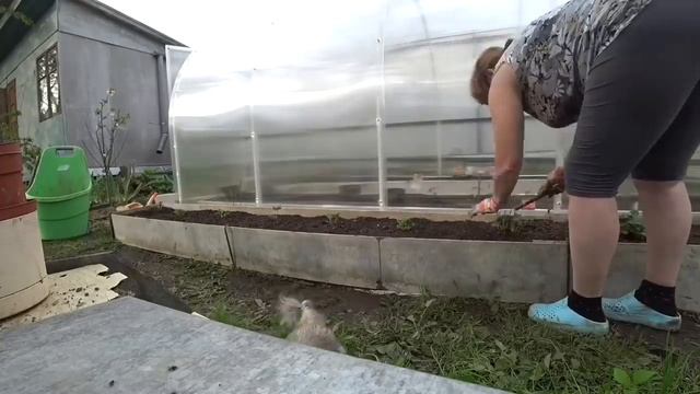 ВЛОГ Клубничная грядка / Женька охотник ? / Так закончился день 12 мая 2019 г. смотреть онлайн